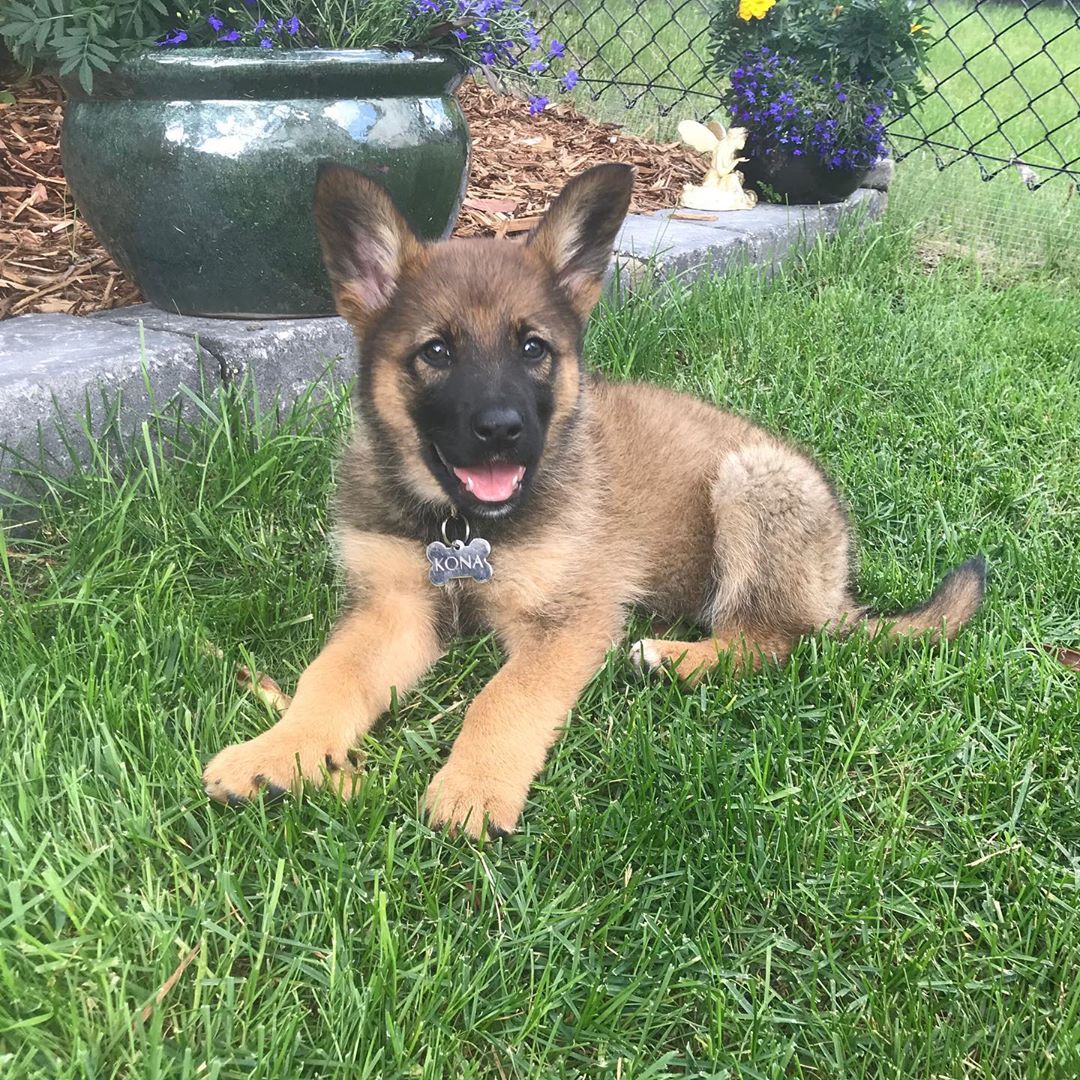 Kona Junge